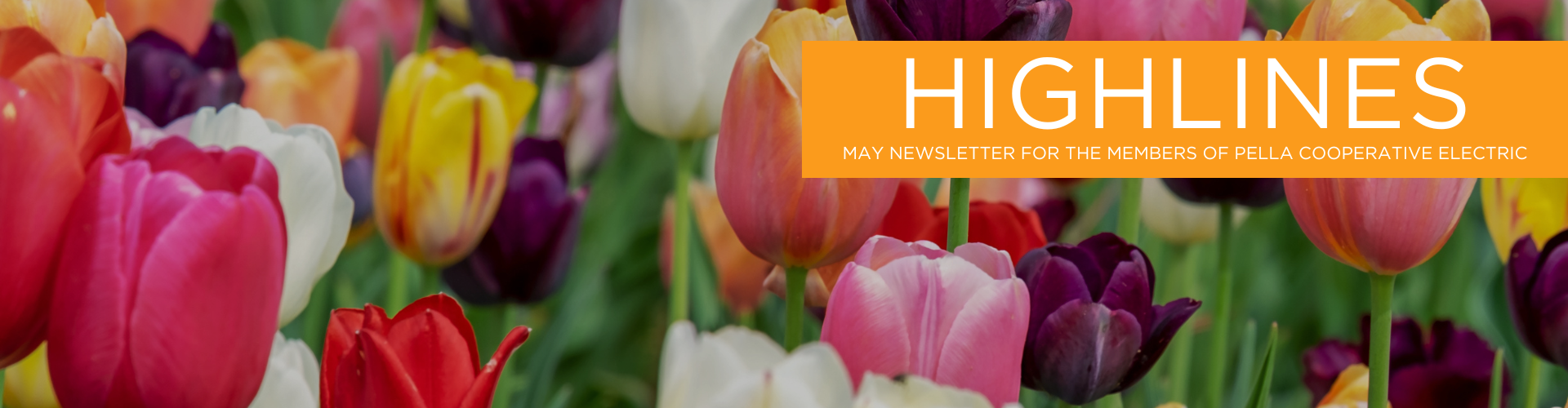 may23highlines