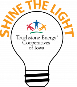 Shine the Light_logo-FINAL.png